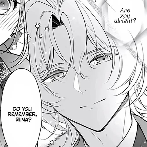 I’m the Prince’s Consort Candidate However, I Believe I Can Certainly Surpass It! Chapter 17 cover