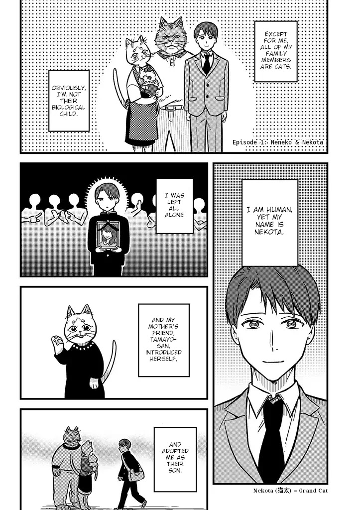 Imouto wa Neko Chapter 1 page 2 - Chapter 1: Neneko & Nekota