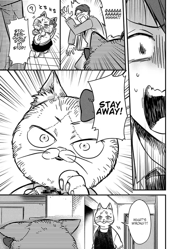 Imouto wa Neko Chapter 1 page 9 - Chapter 1: Neneko & Nekota