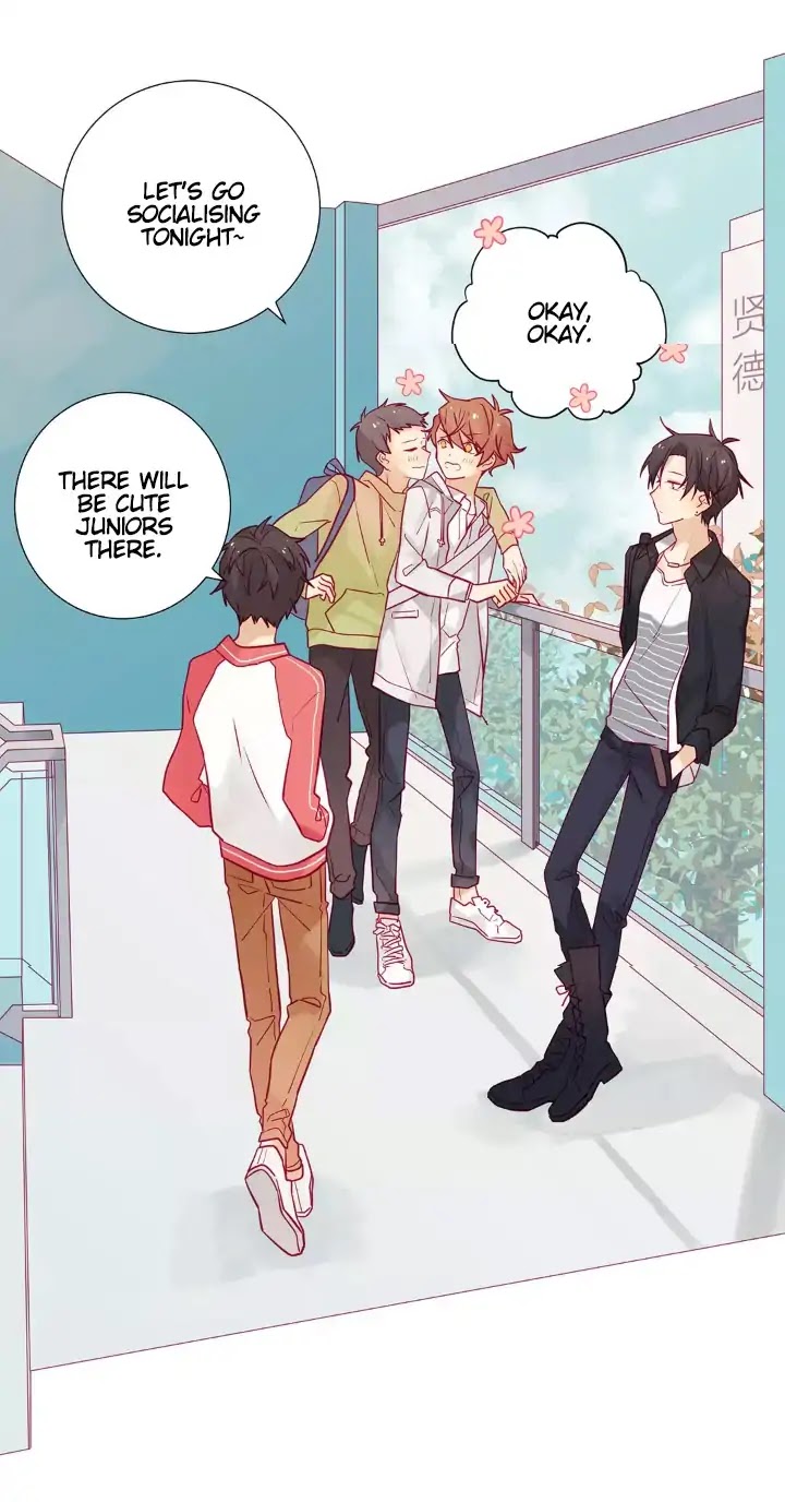 In Search of the Twelve Golden Hairpins Chapter 2 page 19 - Chapter 2: Universe's First Straight Male, Xue Bao Chai