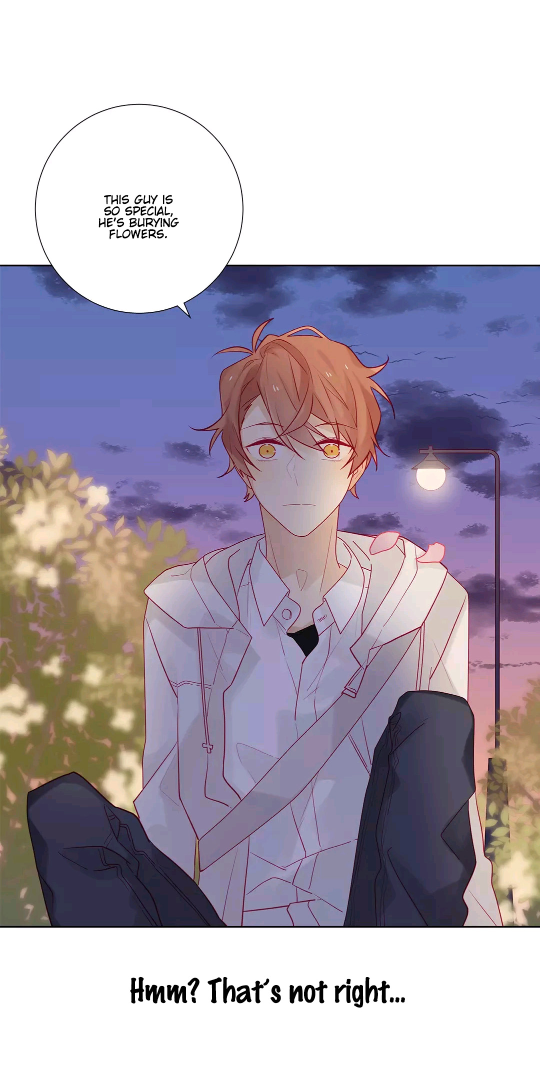 In Search of the Twelve Golden Hairpins Chapter 7 page 19 - Chapter 7: Family Circumstances