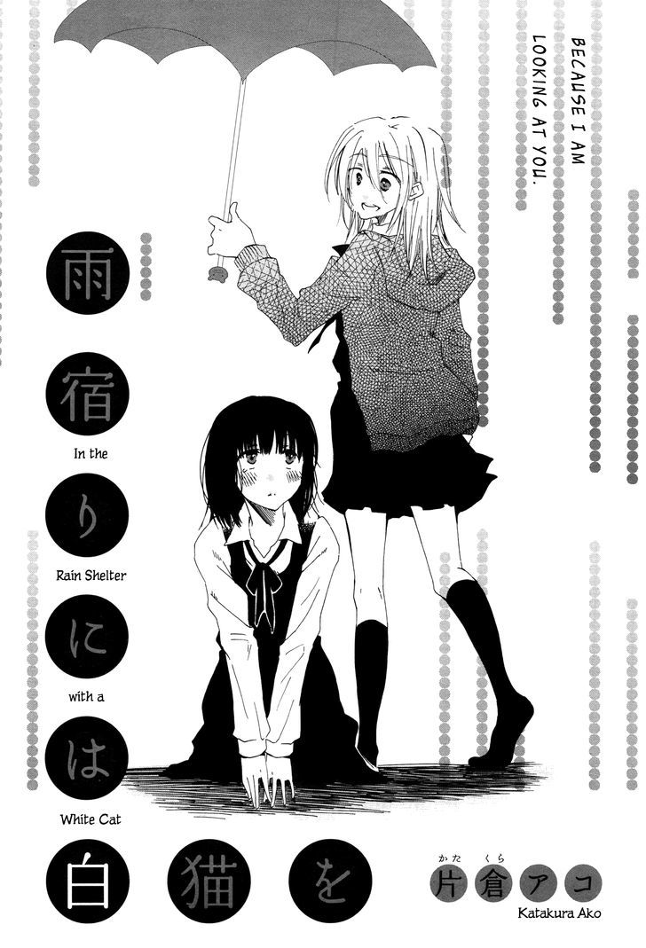 In the Rain Shelter With a White Cat Chapter 1 page 4 - Chapter 1 : Oneshot