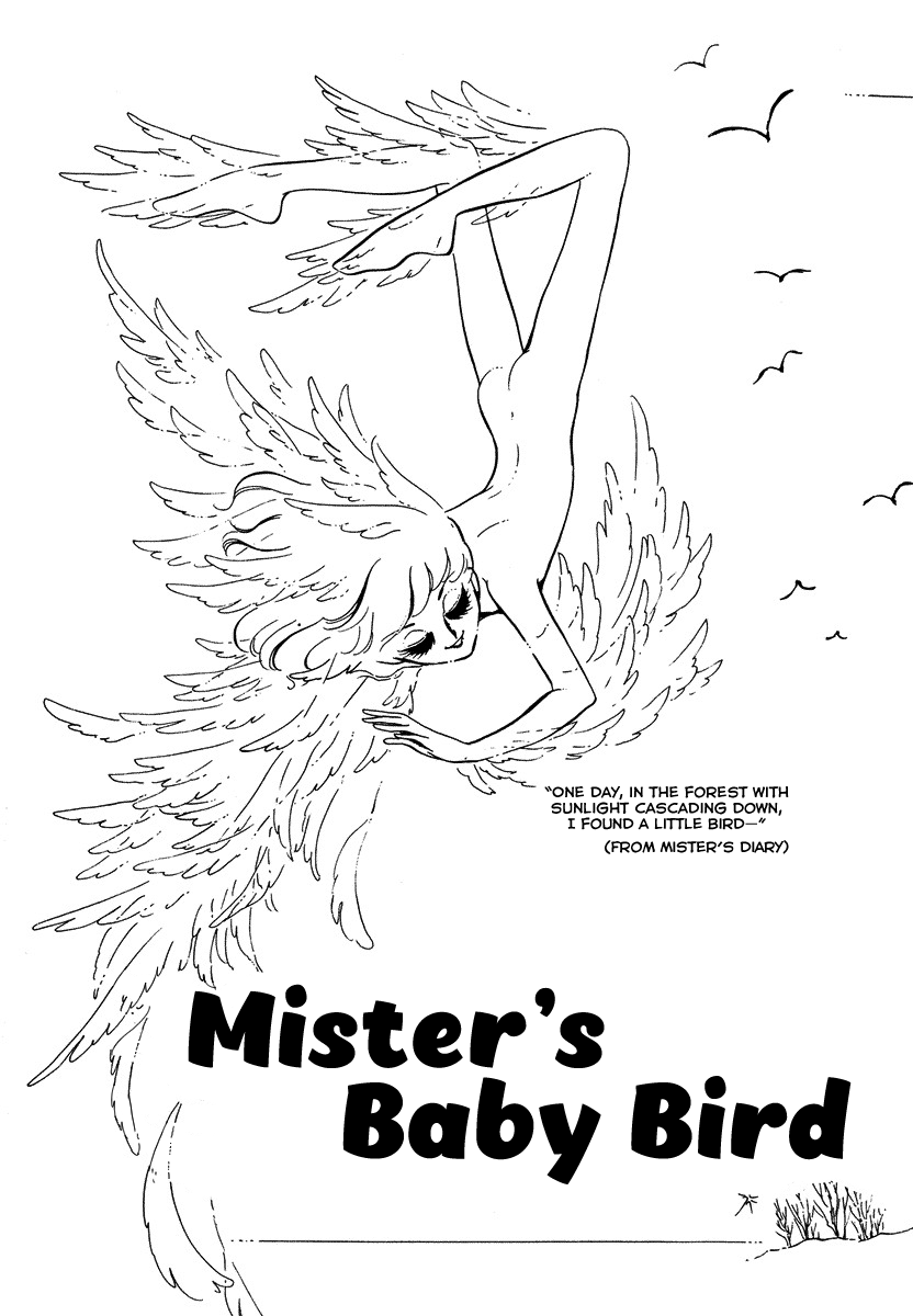 In The Sunroom Chapter 5 page 3 - Chapter 5: Mister's Baby Bird [END]