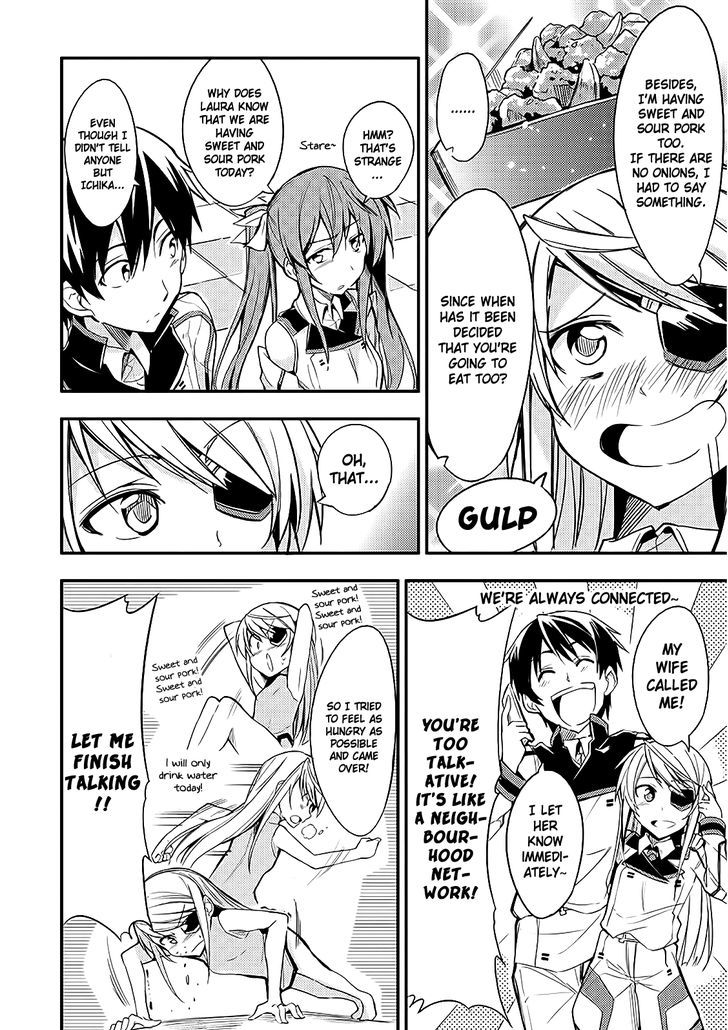 Infinite Stratos Black Bunny/White Bitter Chapter 3 page 4 - Chapter 3 : Shopping For Sweet And Sour Pork
