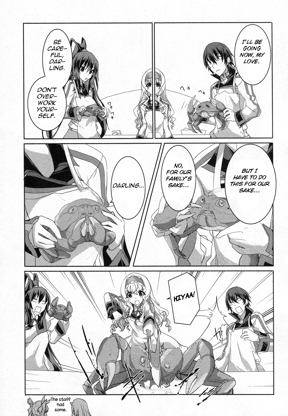 Infinite Stratos Chapter 18.5 page 17 - Chapter 18.5