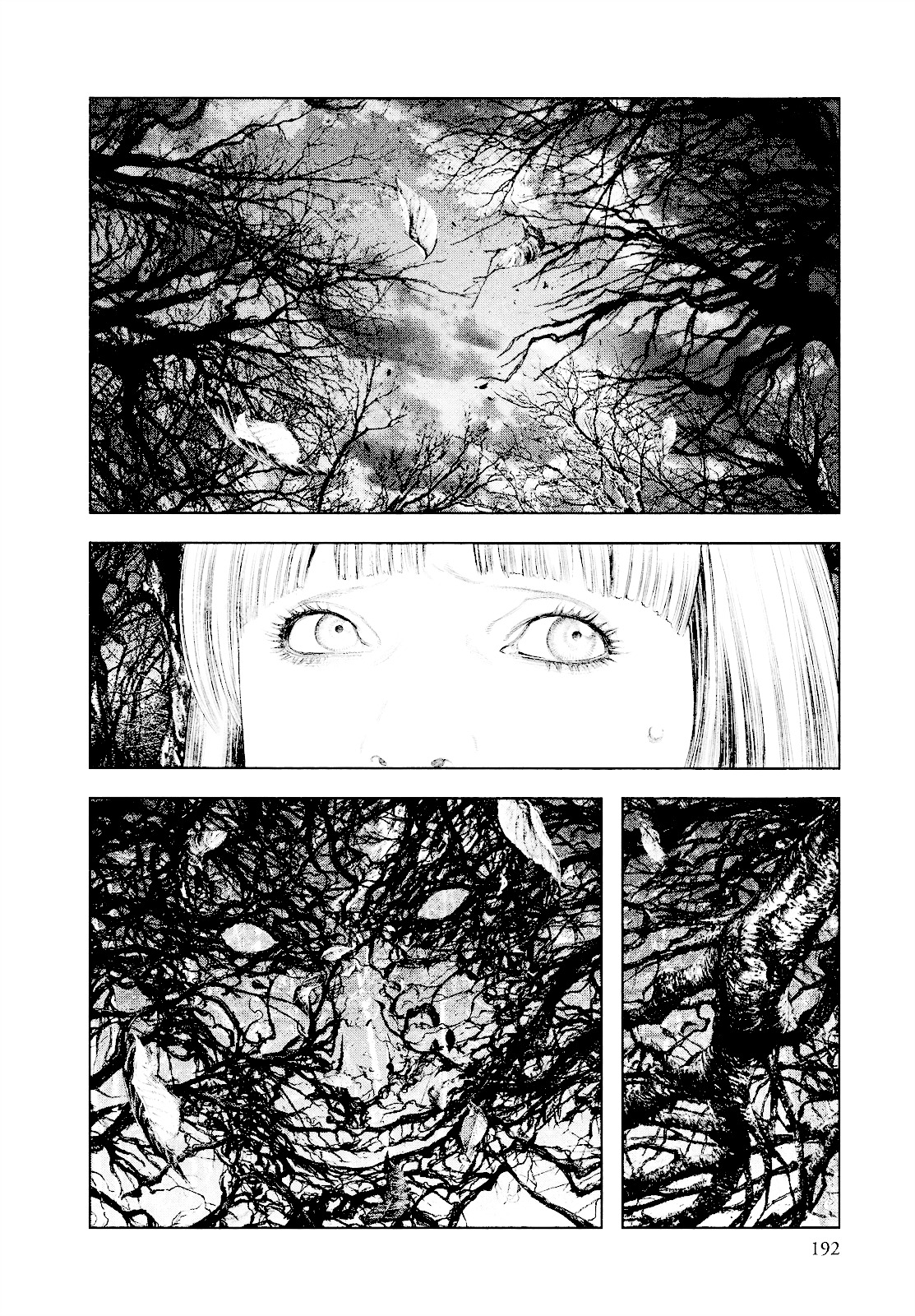 Innocent (SAKAMOTO Shinichi) Chapter 31 page 5 - Chapter 31 : Noble Memento Mori