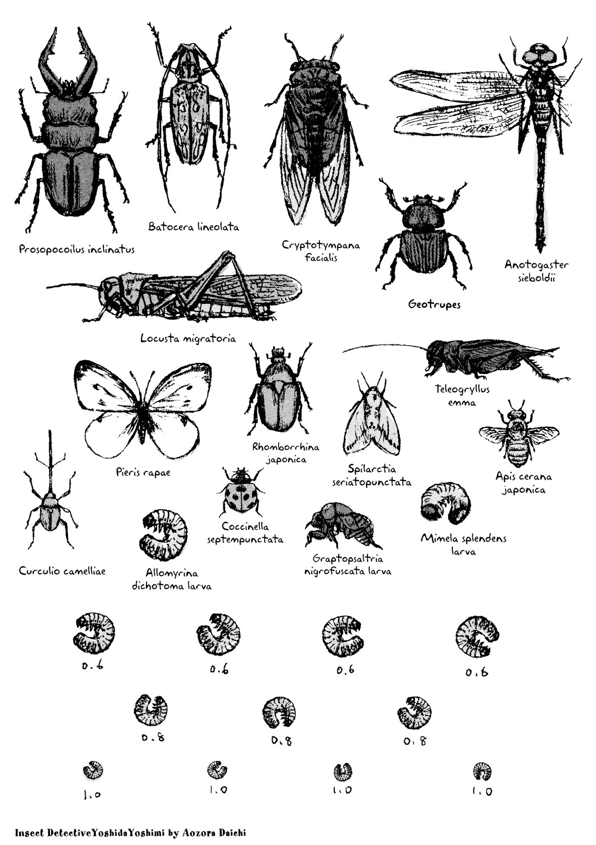 Insect Detective Yoshida Yoshimi Chapter 1 page 3 - Chapter 1 : 1st Critter - In Quite A Pickle