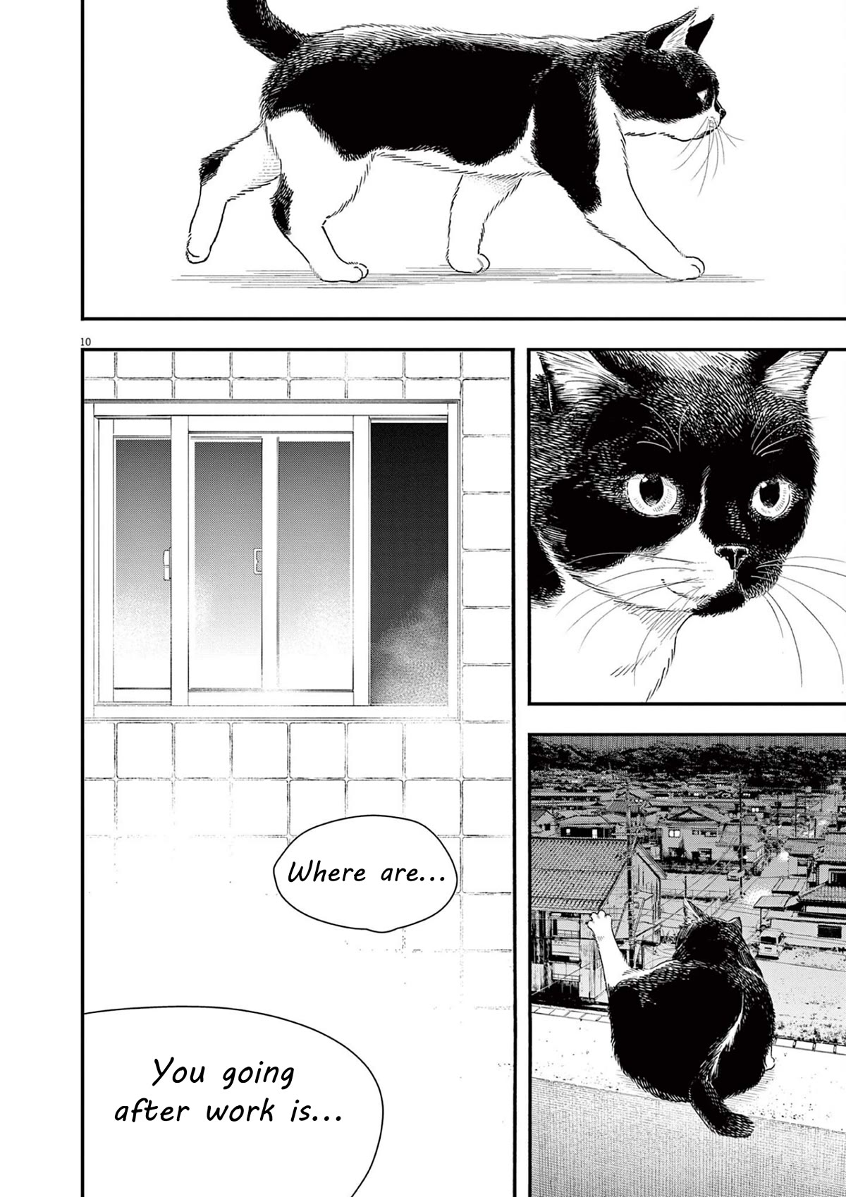 Insomniacs After School Chapter 112 page 10 - Chapter 112: Window Star