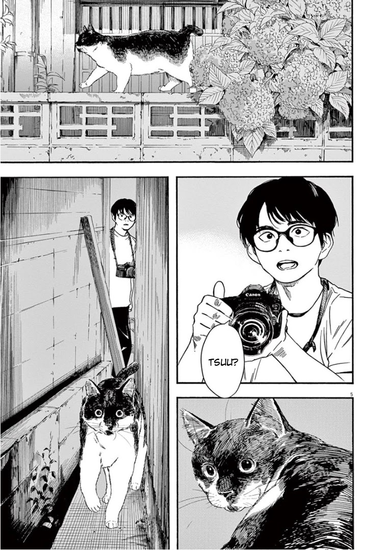 Insomniacs After School Chapter 39 page 5 - Chapter 39: Cat's Eye - Zeta 2 Scorpii