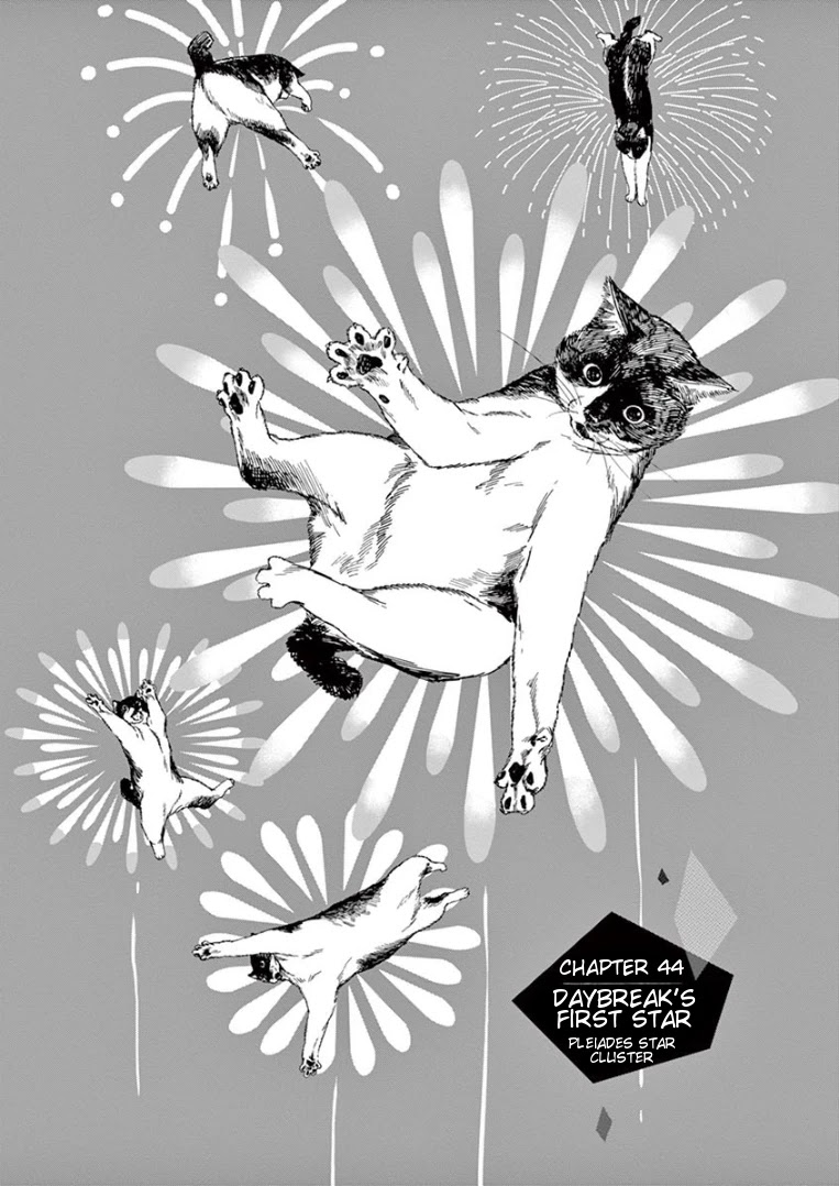 Insomniacs After School Chapter 44 page 1 - Chapter 44: Daybreak's First Star - Pleiades Star Cluster