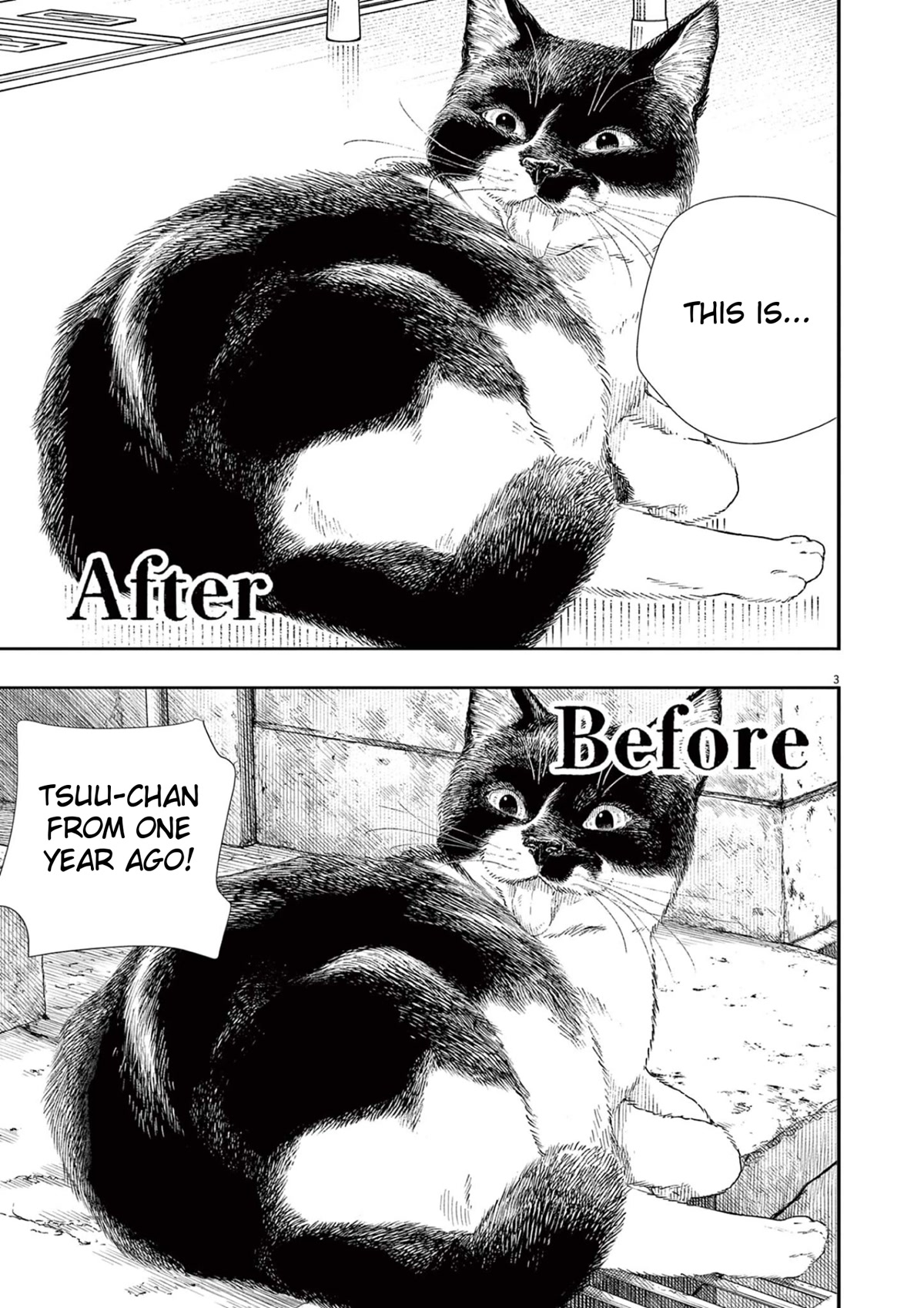 Insomniacs After School Chapter 92 page 3 - Chapter 92: Memory Star