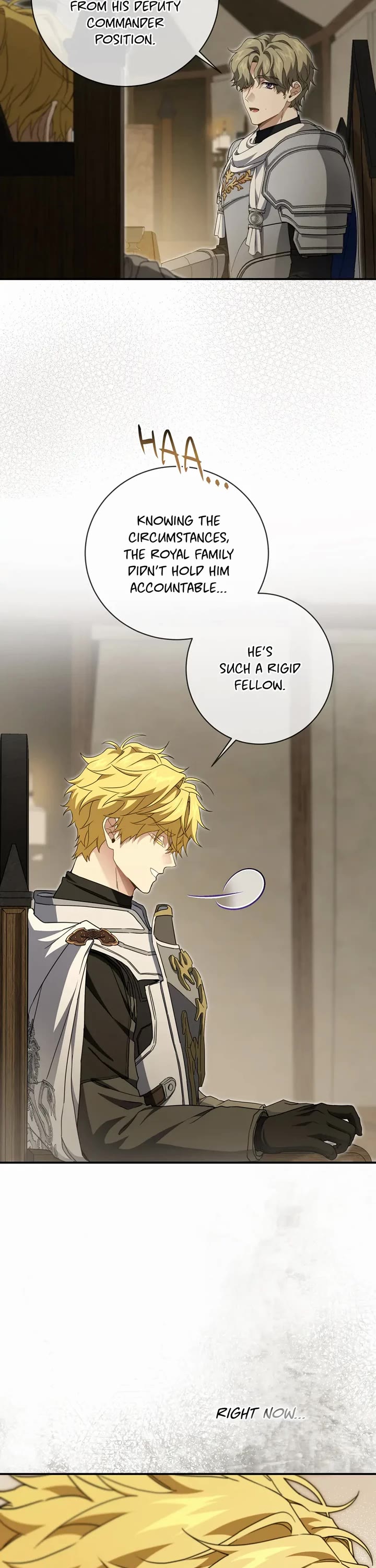 Into the Light Once Again Chapter 100 page 27 - Chapter 100: To the Spirit Realm