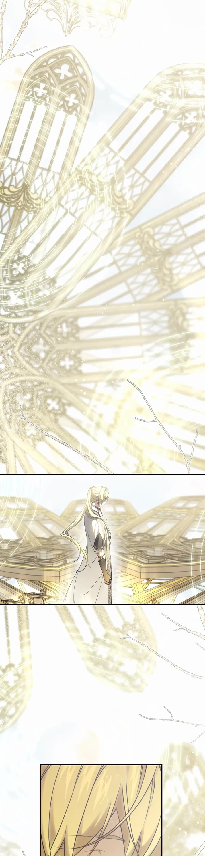 Into the Light Once Again Chapter 102 page 12 - Chapter 102: Worth the Wait