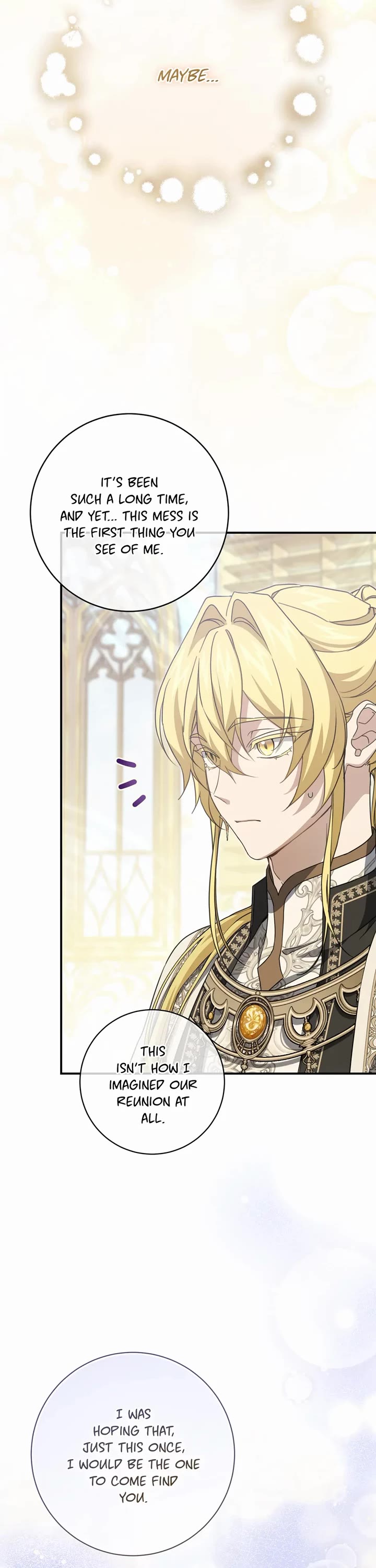 Into the Light Once Again Chapter 102 page 28 - Chapter 102: Worth the Wait