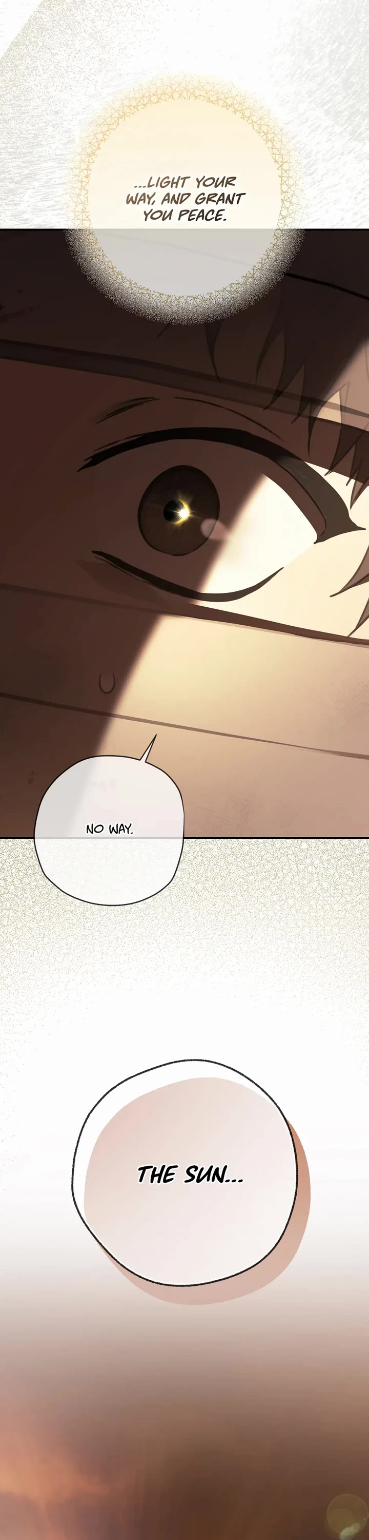 Into the Light Once Again Chapter 107 page 12 - Chapter 107: Shadow of the Earth