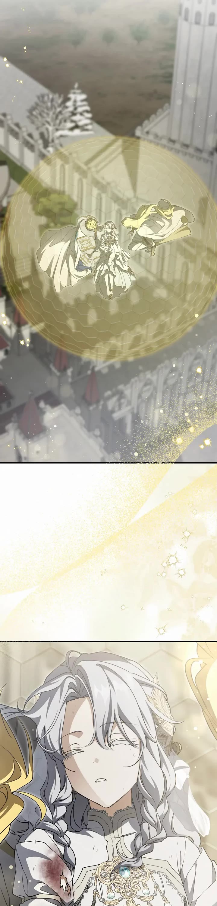 Into the Light Once Again Chapter 114 page 13 - Chapter 114: Finale