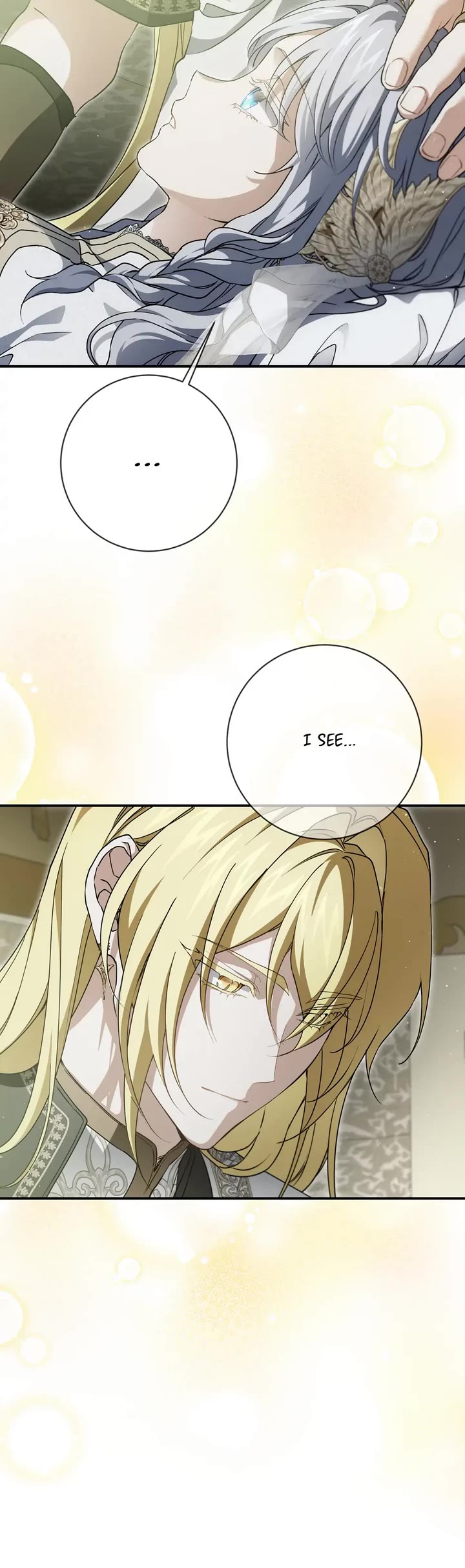 Into the Light Once Again Chapter 114 page 20 - Chapter 114: Finale