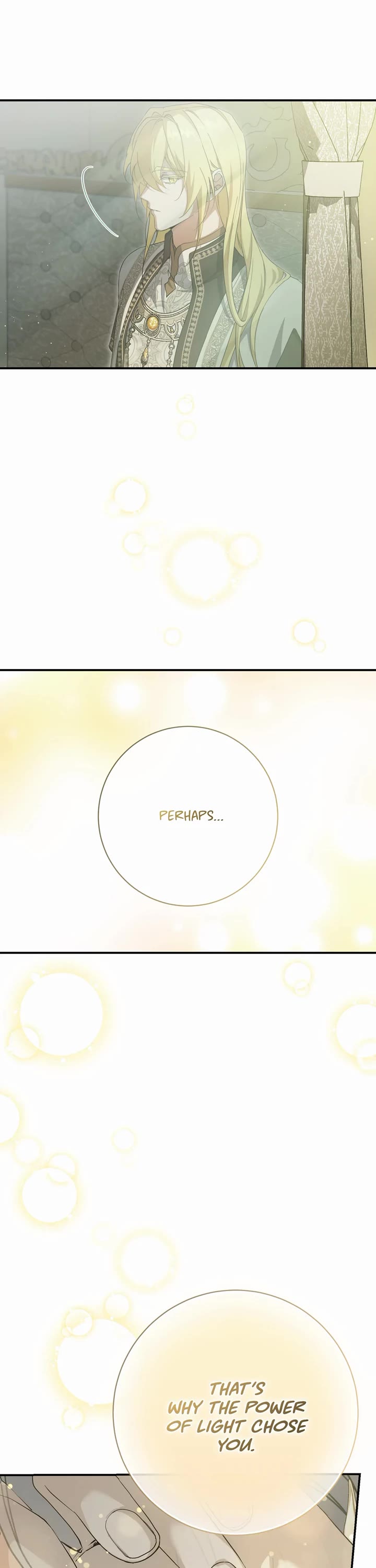 Into the Light Once Again Chapter 114 page 26 - Chapter 114: Finale