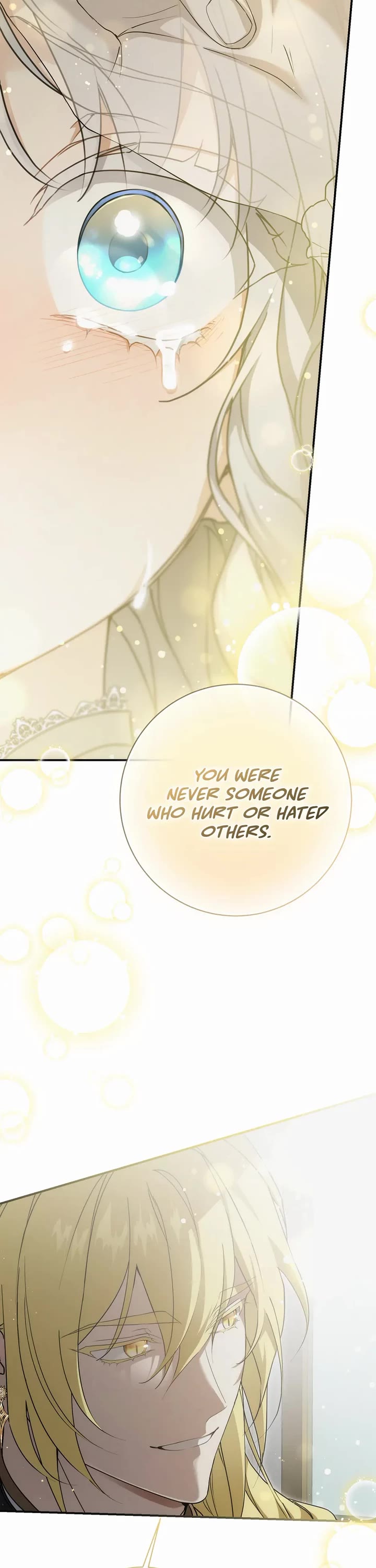 Into the Light Once Again Chapter 114 page 27 - Chapter 114: Finale