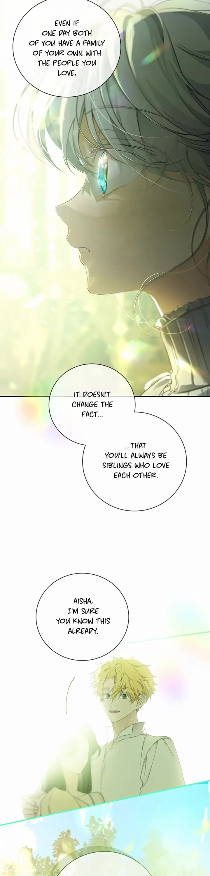 Into the Light Once Again Chapter 70 page 27 - Chapter 70: A Perfect Match