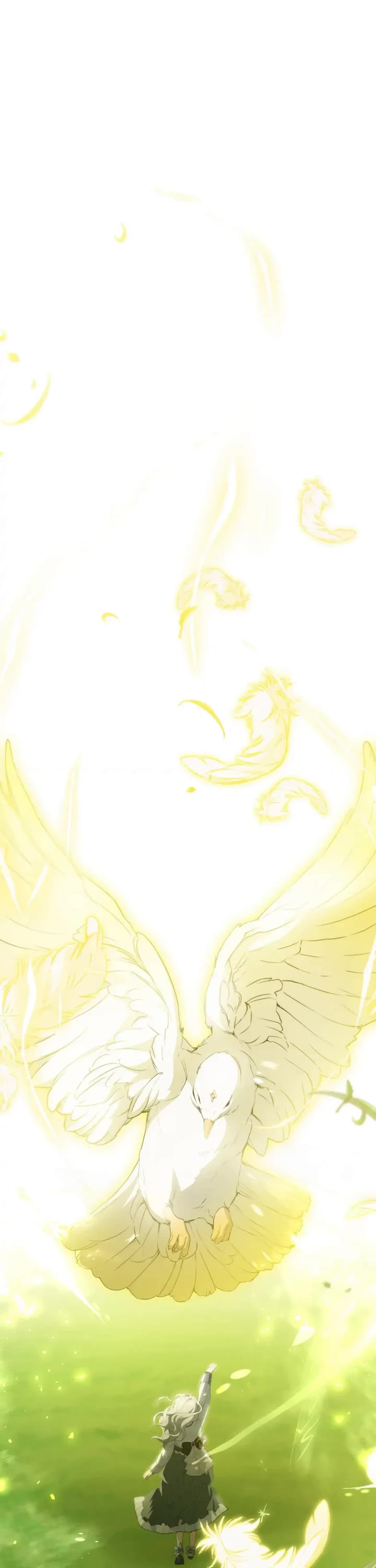 Into the Light Once Again Chapter 79 page 1 - Chapter 79: Back to Rioten