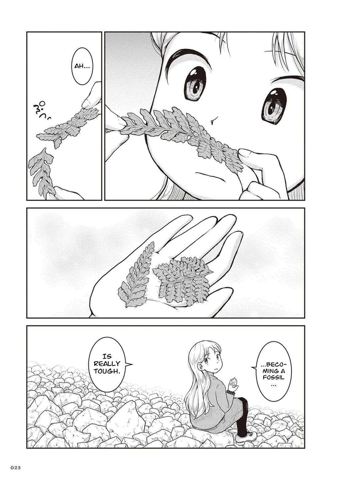 Introduction to Mineralogy Chapter 29 page 24 - Chapter 29: Mountain Trail, Bound for the Ocean Floor