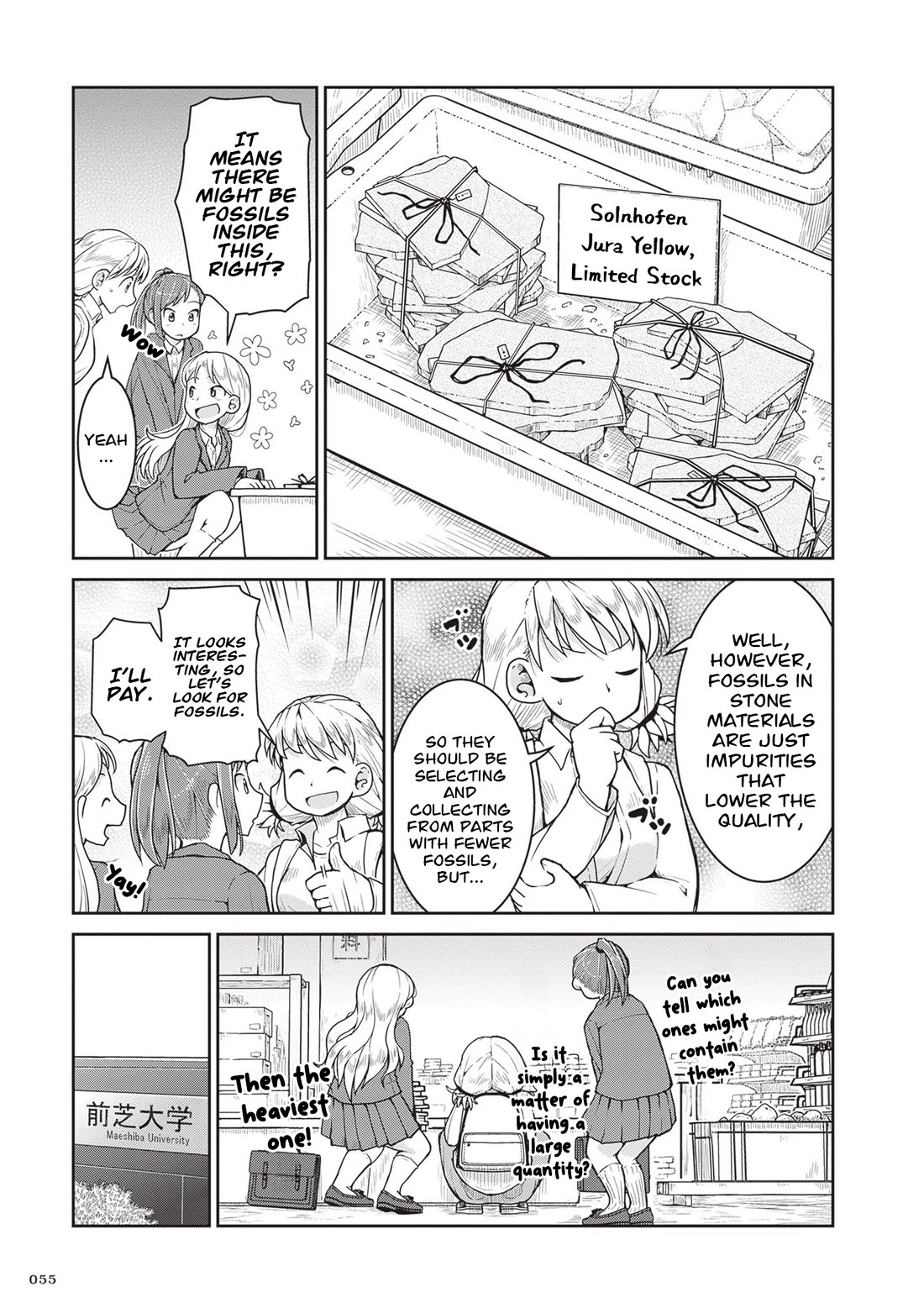 Introduction to Mineralogy Chapter 30 page 21 - Chapter 30: Jurassic Street Corner