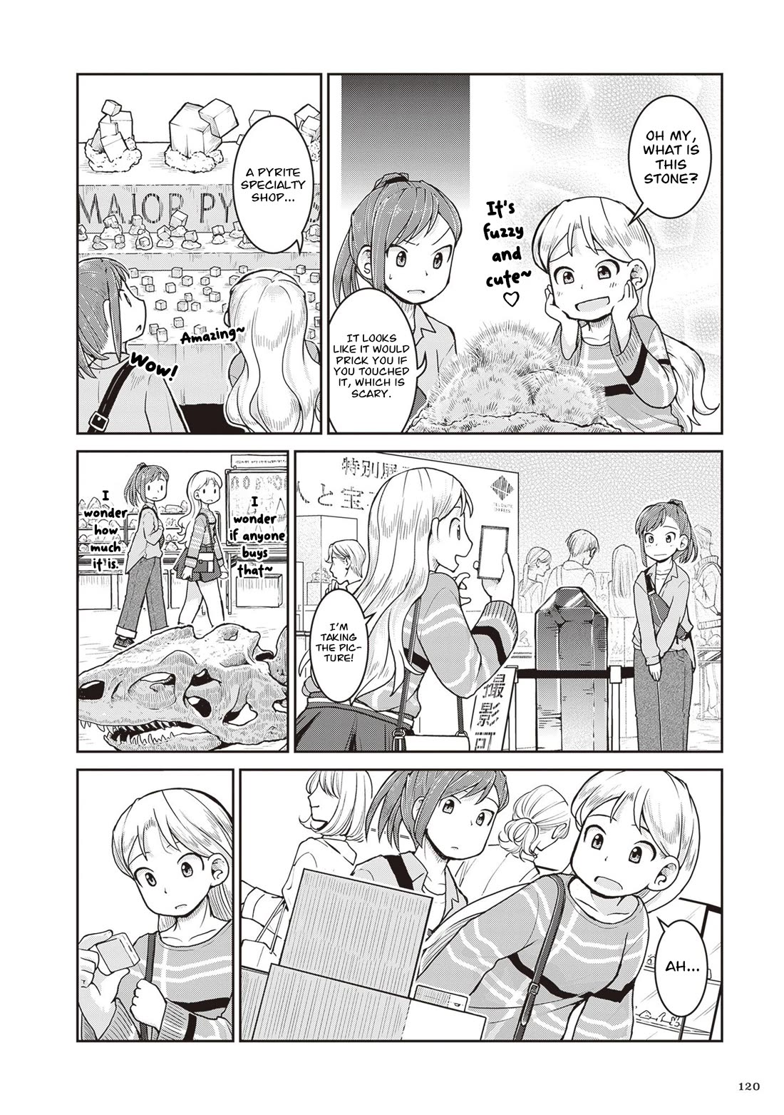 Introduction to Mineralogy Chapter 32 page 8 - Chapter 32: Festival of Rock Enthusiasts