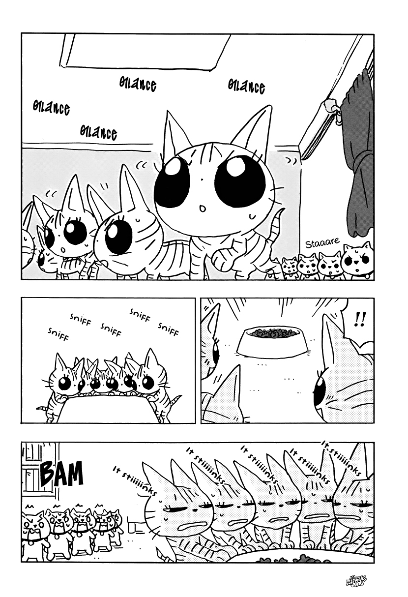 Inu five Chapter 15 page 2 - Chapter 15: Inu-five versus Neko-five 1