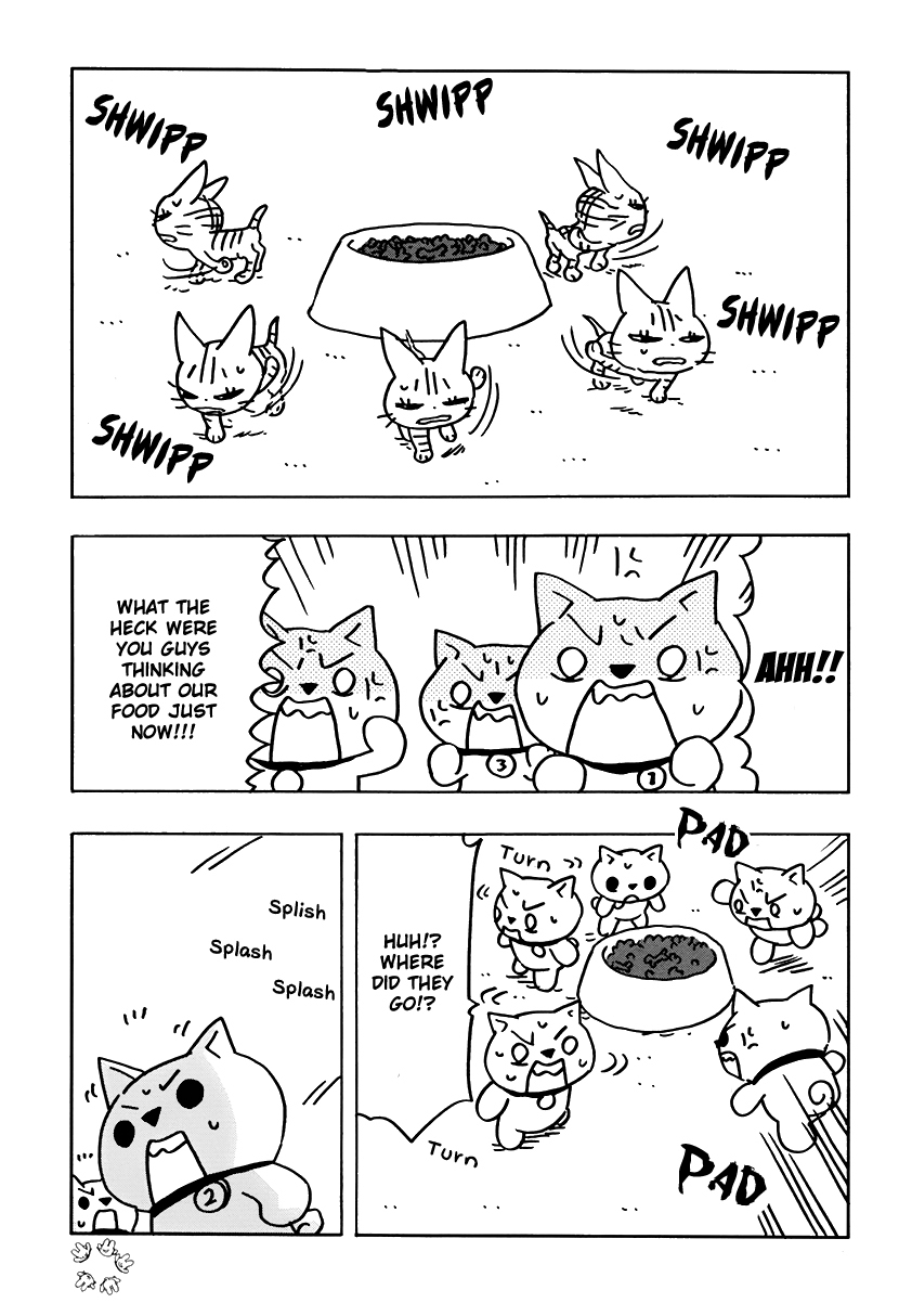 Inu five Chapter 15 page 3 - Chapter 15: Inu-five versus Neko-five 1