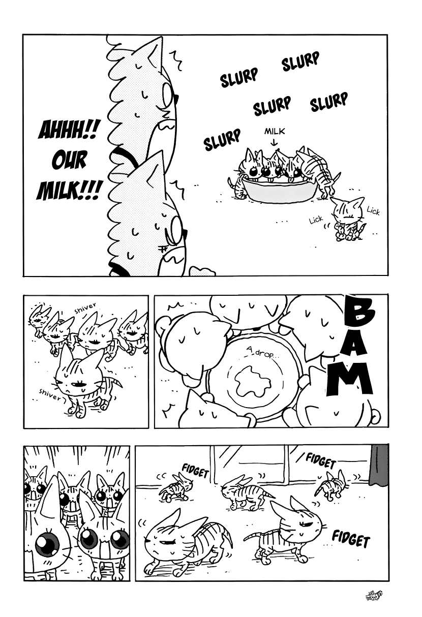 Inu five Chapter 15 page 4 - Chapter 15: Inu-five versus Neko-five 1