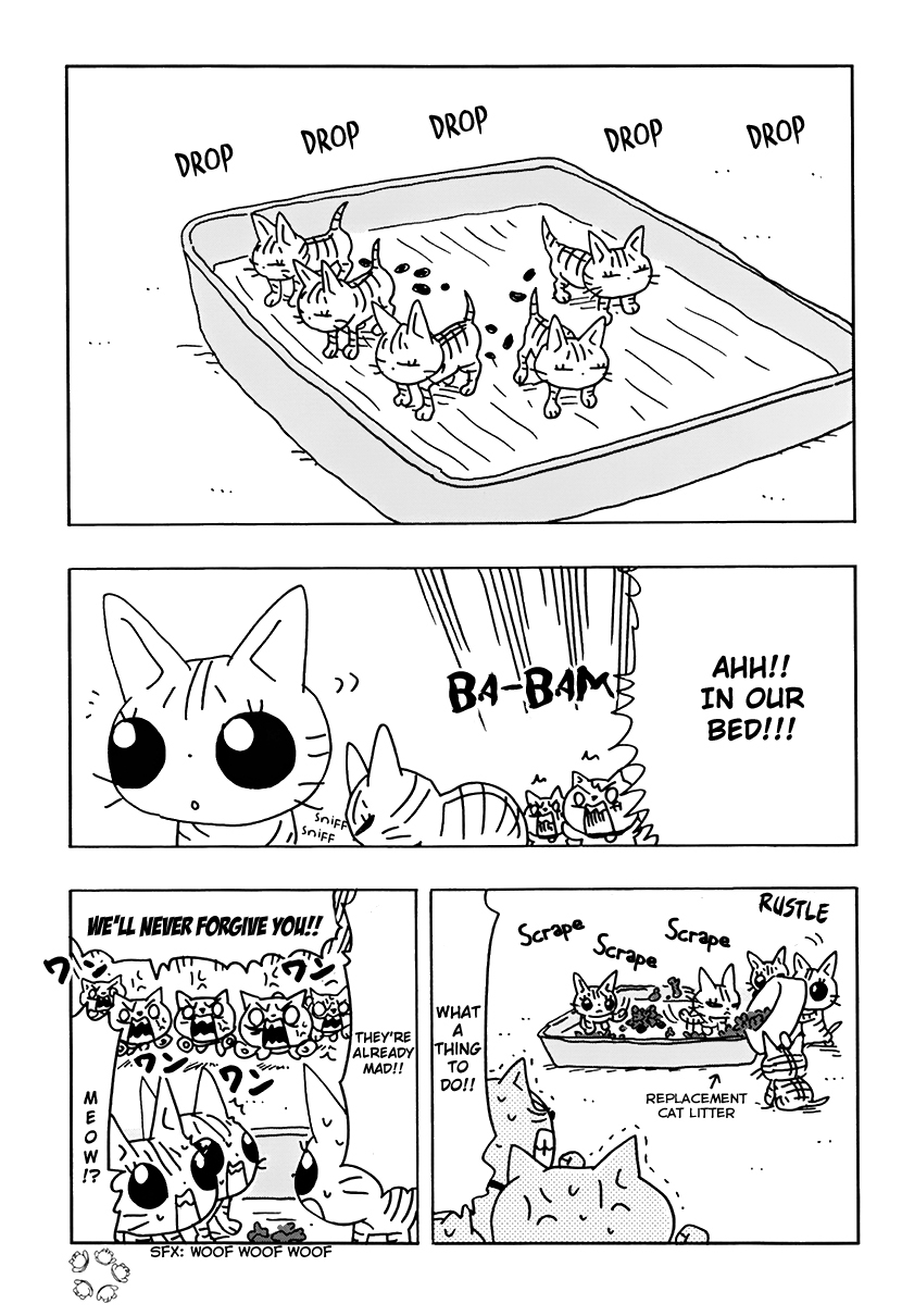 Inu five Chapter 15 page 5 - Chapter 15: Inu-five versus Neko-five 1