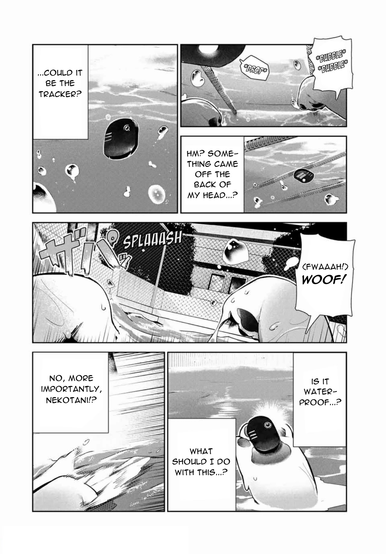Inu ni Nattara Suki na Hito ni Hirowareta Chapter 14 page 6 - Chapter 14