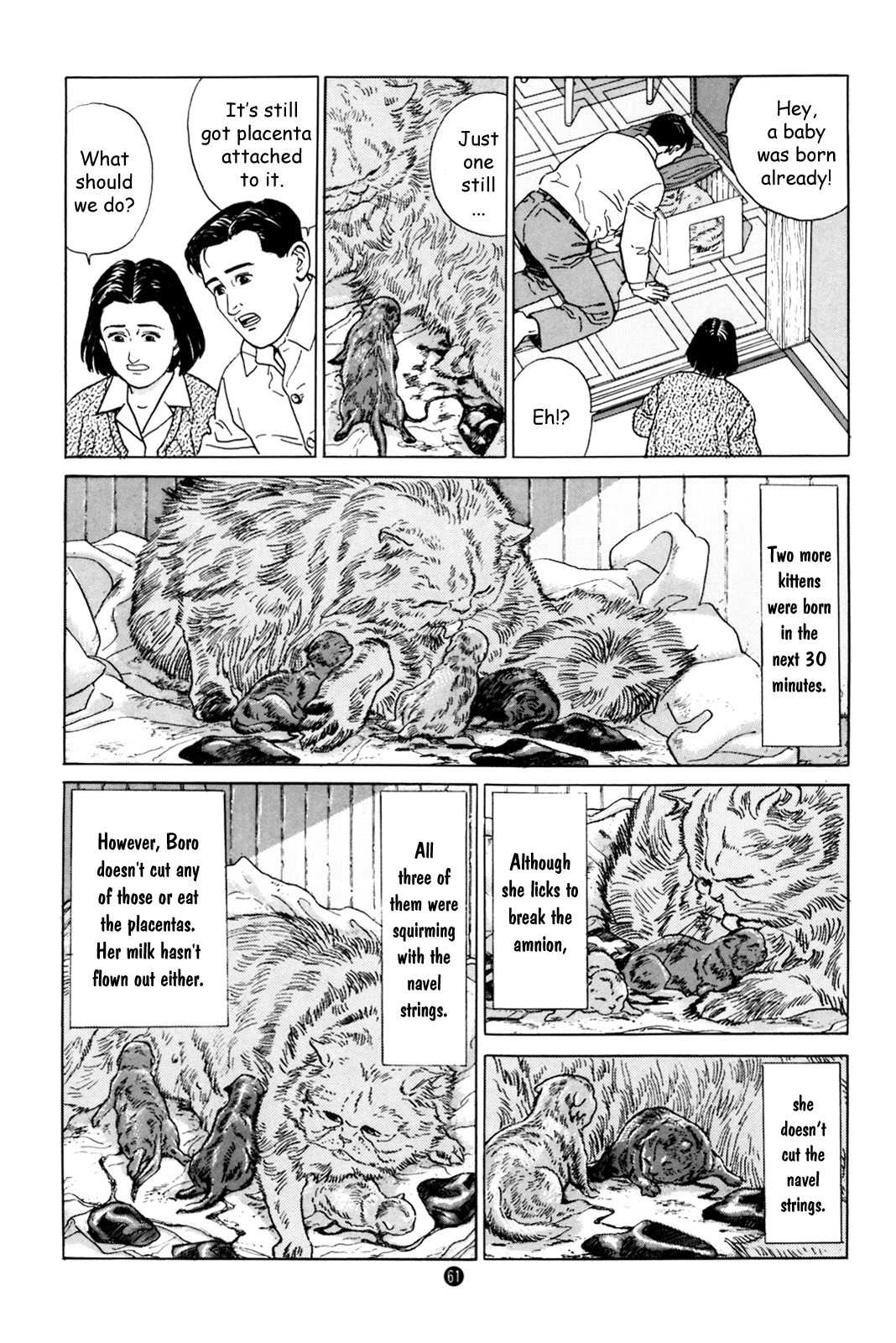 Inu o Kau Chapter 2 page 19 - Chapter 2: And Then, Caring for a Cat