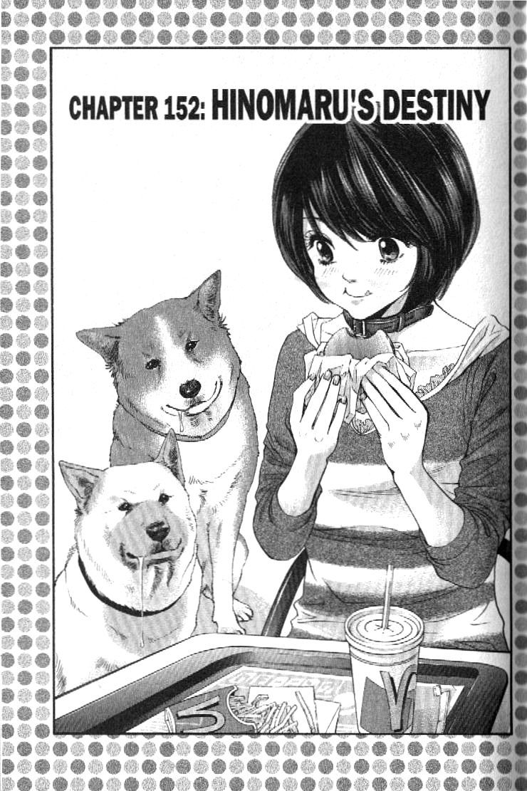 Inubaka Chapter 152 page 8 - Chapter 152: Hinomaru's Destiny