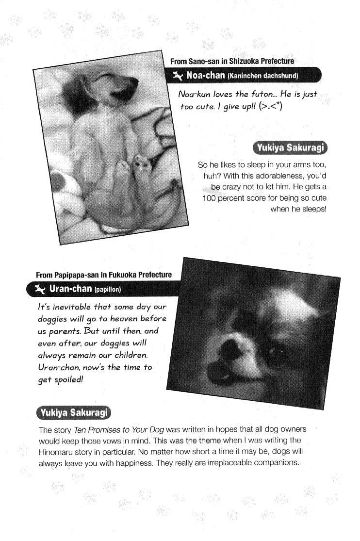 Inubaka Chapter 162 page 20 - Chapter 162: Proposal After 14 Years?!