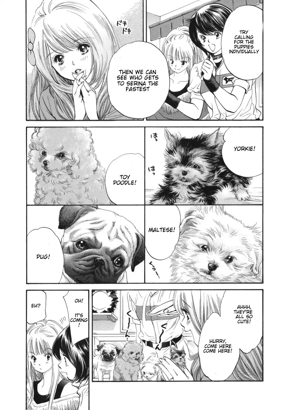 Inubaka Chapter 169 page 3 - Chapter 169: Serina's a New Mom
