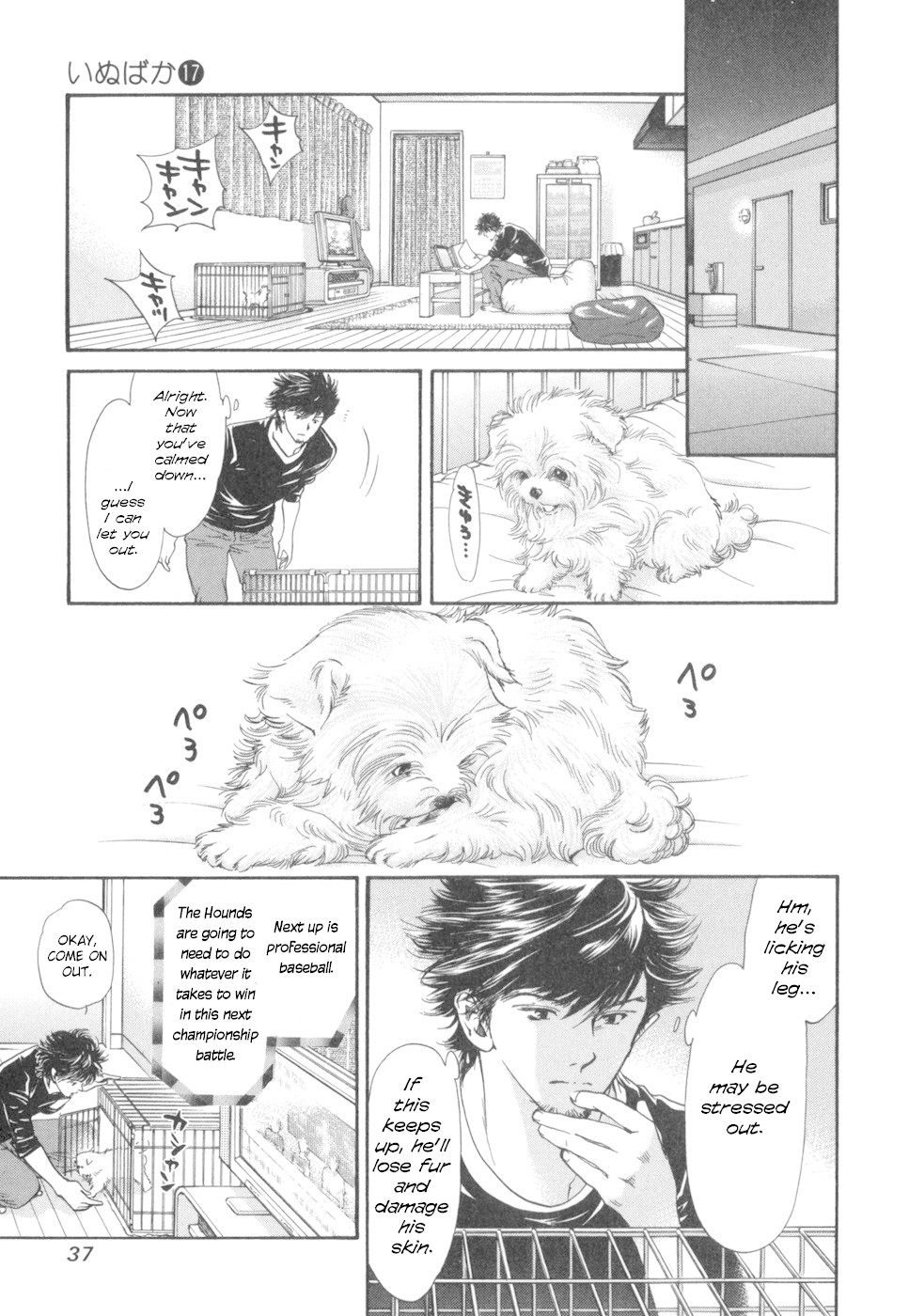 Inubaka Chapter 175 page 12 - Chapter 175: Will Serina Take Milk Back?