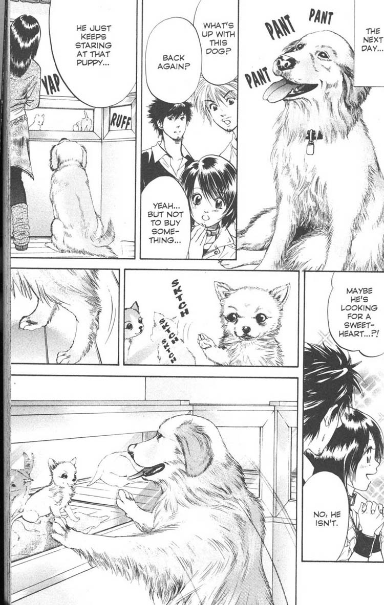 Inubaka Chapter 5 page 17 - Chapter 5: A Dog Comes Calling All By Itself?