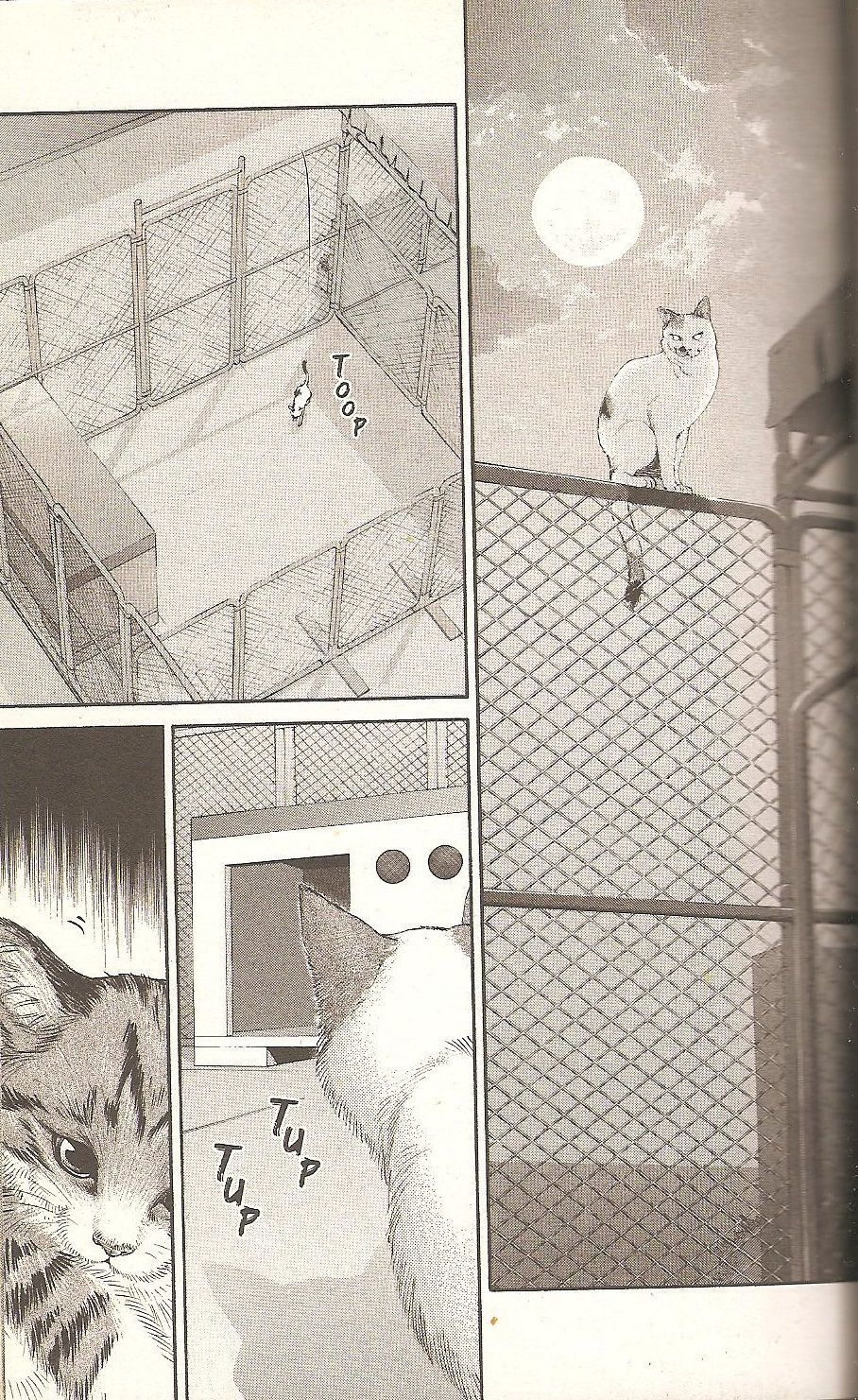 Inubaka Chapter 55 page 15 - Chapter 55: Cute Little Baby