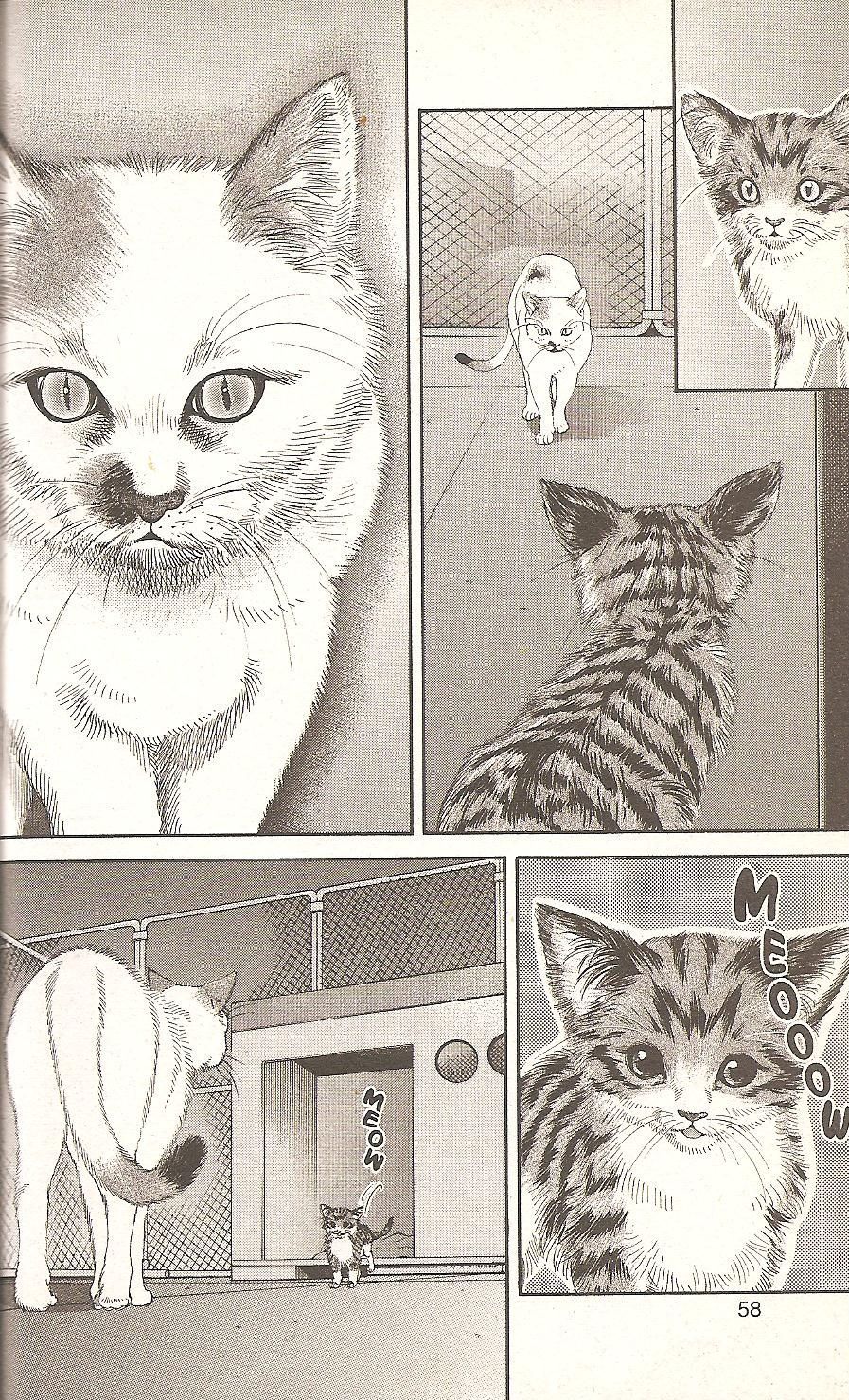 Inubaka Chapter 55 page 16 - Chapter 55: Cute Little Baby