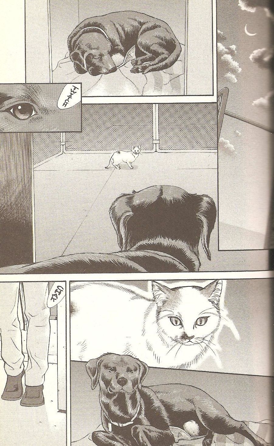 Inubaka Chapter 56 page 17 - Chapter 56: Duel on a Moonlit Night