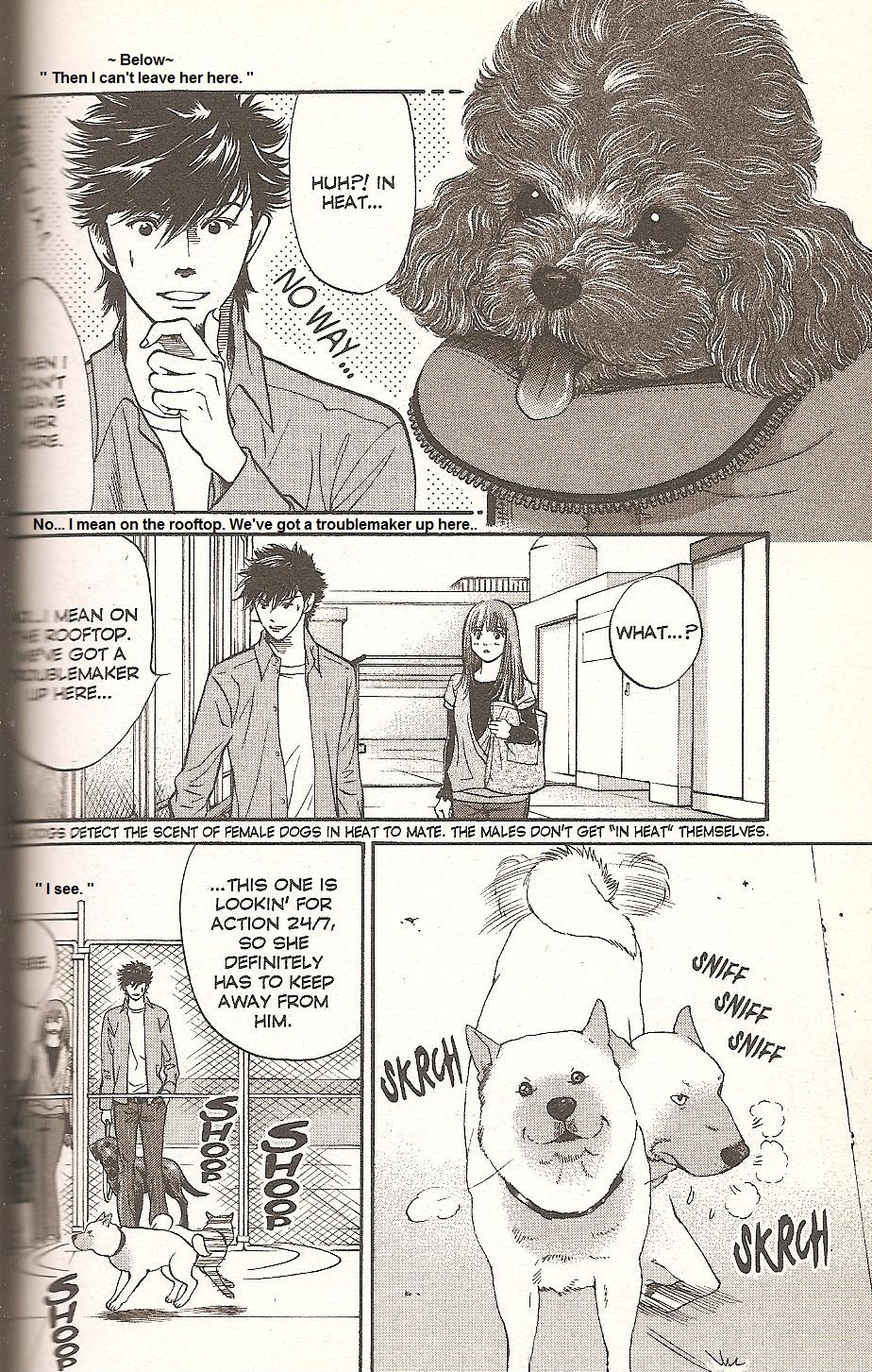 Inubaka Chapter 71 page 6 - Chapter 71: Painful Peach