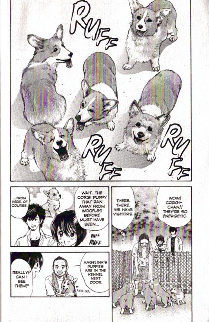 Inubaka Chapter 87 page 17 - Chapter 87: Nakatani Heartland