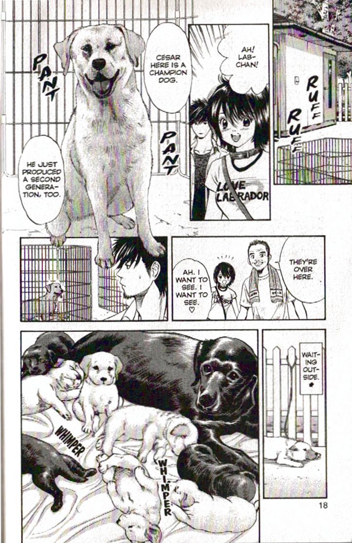 Inubaka Chapter 87 page 19 - Chapter 87: Nakatani Heartland