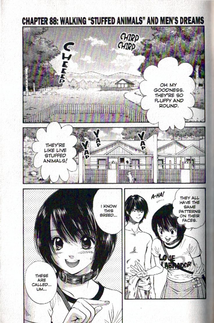 Inubaka Chapter 88 page 1 - Chapter 88: Walking "Stuffed Animals" And Men's Dreams