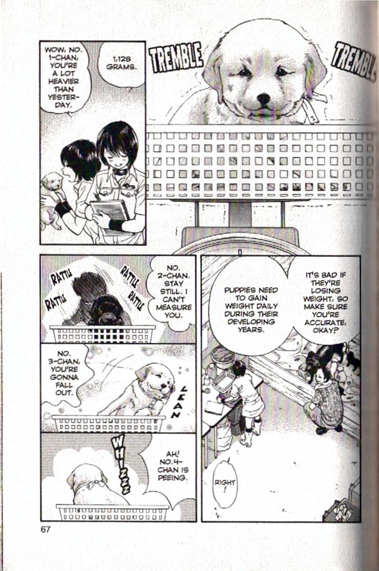 Inubaka Chapter 90 page 5 - Chapter 90: The Little Angel