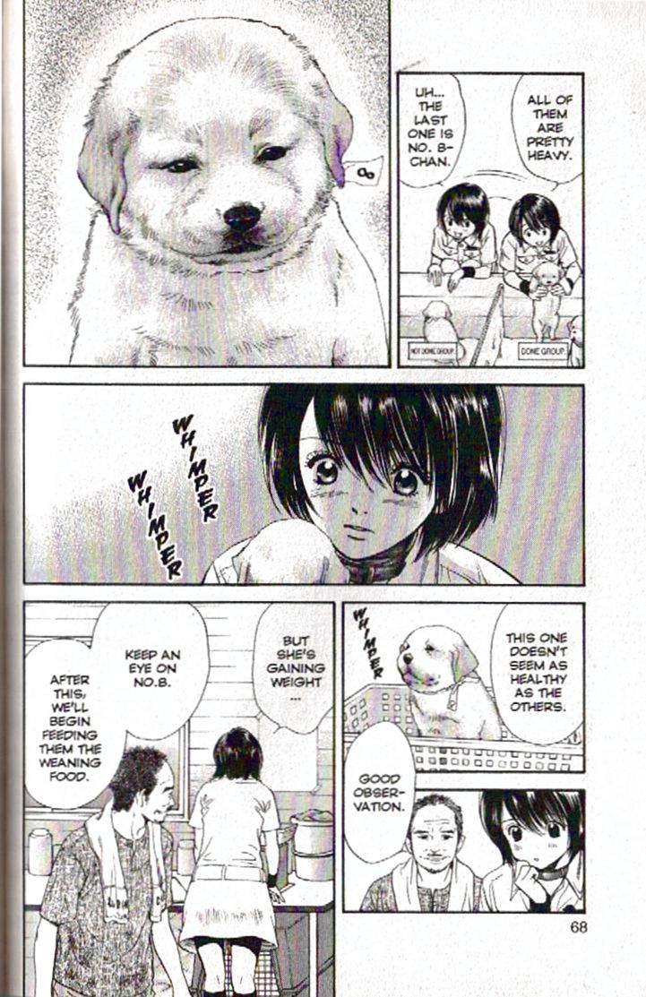 Inubaka Chapter 90 page 6 - Chapter 90: The Little Angel