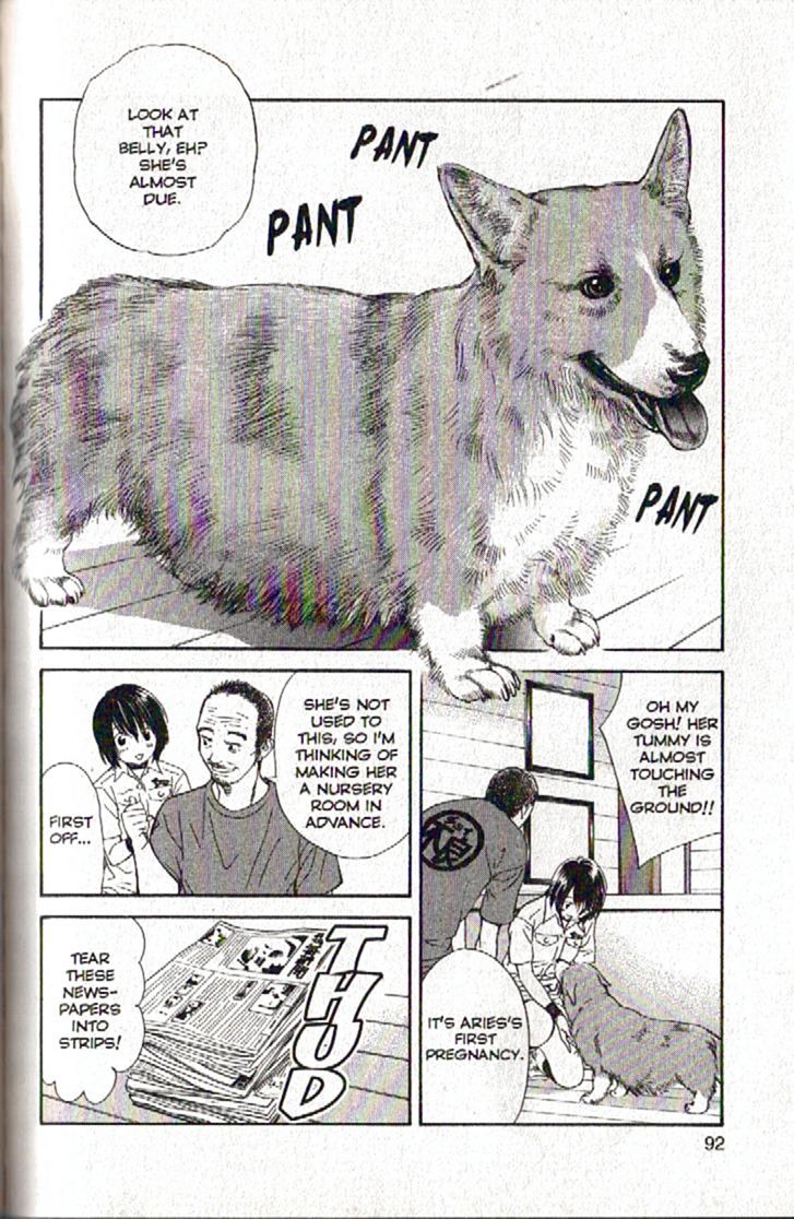Inubaka Chapter 91 page 12 - Chapter 91: Big news