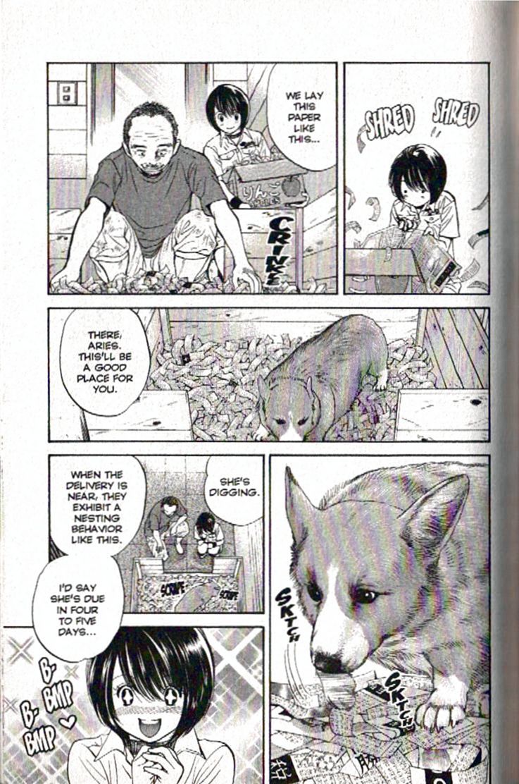 Inubaka Chapter 91 page 13 - Chapter 91: Big news